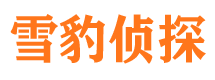 泰宁市婚姻出轨调查